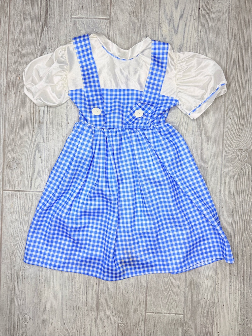 Rubies wizard if Oz Dorthy dress size small Halloween costume cosplay